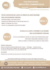 niv 3 employe commercial (2)