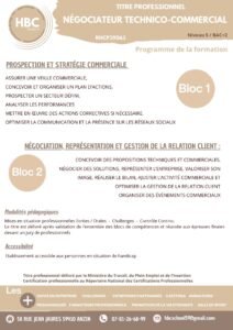 niv 5 nego technico commercial (1)