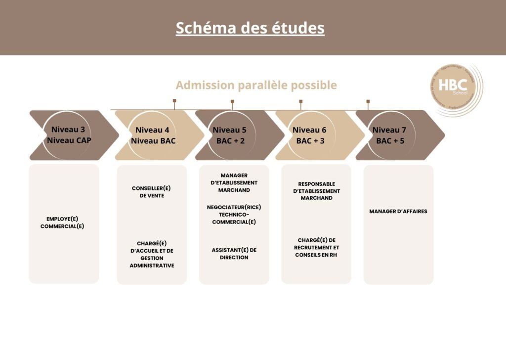 schéma des études schéma des études
